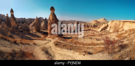 Formations de tuf volcanique connu sous le nom de cheminées de fées de Pasabag, près de Zelve, Cappadoce, Anatolie, Turquie. Vue panoramique. Banque D'Images