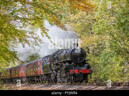 Kidderminster, UK. 28 octobre, 2018. Météo France : avec l'automne glorieux soleil en abondance aujourd'hui, les locomotives à vapeur sur la Severn Valley Railway heritage line sont un délice pour les yeux, dans la lumière du soleil pommelé, en passant par la belle, automne, campagne du Worcestershire. Credit : Lee Hudson/Alamy Live News Banque D'Images