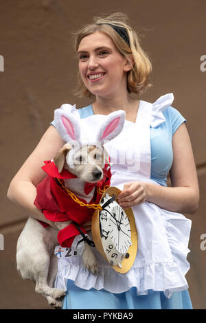 New York, USA, 28 octobre 2018. Une femme déguisée en Alice au Pays des Merveilles porte son chien sur un costume de lapin blanc pendant la 5628th Tompkins Square annuel Halloween dog parade dans la ville de New York. Credit : Enrique Shore/Alamy Live News Banque D'Images
