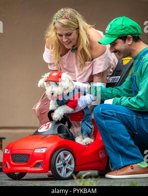 New York, USA, 28 octobre 2018. Un couple à leur chien guide Super Mario habillé comme sa petite voiture sur scène lors de la 28e assemblée annuelle de l'Halloween dog parade Tompkins Square à New York. Credit : Enrique Shore/Alamy Live News Banque D'Images