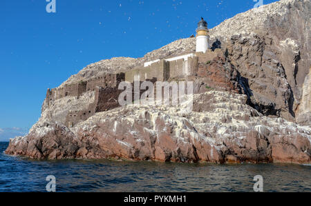 Le phare de Bass Rock, au large de North Berwick, Ecosse, site du patrimoine mondial de colonie de fous de bassan, Morus bassanus, construit en 1902 par D. Stevenson Banque D'Images