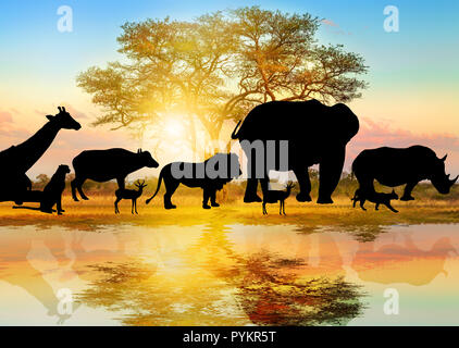 Silhouette d'animaux sauvages bordées sur fond de l'Afrique de l'acacia au lever de la lumière réfléchie sur un étang. Faune de Serengeti en Tanzanie, Afrique. Scène safari africain paysage de savane. Wallpaper Banque D'Images