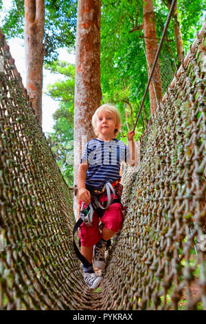 Brave petit enfant dans le harnais de sécurité monter sur la cime des arbres route, passer le pont suspendu en obstacle net aventure parc. Activité de plein air Banque D'Images