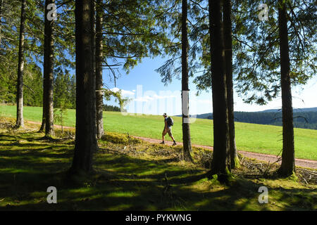Randonnée randonneur dans l'est de la forêt noire, Baden-Wurttemberg, Germany, Europe Banque D'Images