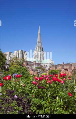 L'Angleterre, West Sussex, Chichester, cathédrale de Spire évêques gardens Banque D'Images