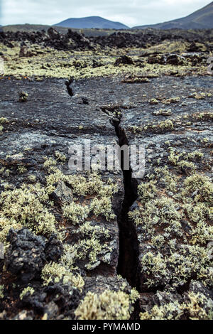 Dry cracked earth dans le Parc National de Timanfaya sur l'île de Lanzarote Banque D'Images