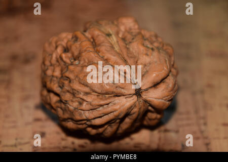Macro shot, gigantesque NOYER Juglans regia unique sur plancher de liège et bois nature background Banque D'Images
