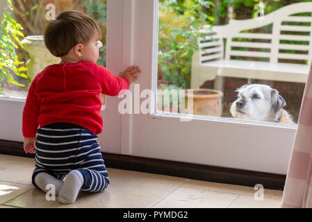 Tout-petit garçon à la fenêtre d'un patio dans le jardin avec un chien à l'extérieur à nouveau. Banque D'Images