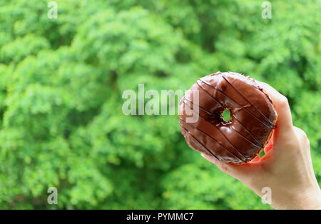 Close up of Female's Hand Holding a Donut enrobées de chocolat avec feuillage vert dynamique flou en arrière-plan Banque D'Images