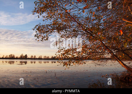 Coucher de soleil sur Bargerveen, Pays-Bas Banque D'Images