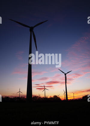 Coucher de soleil sur Bargerveen, Pays-Bas Banque D'Images