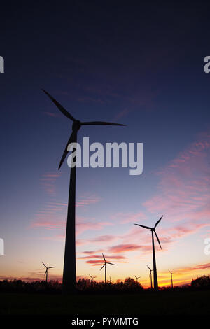 Coucher de soleil sur Bargerveen, Pays-Bas Banque D'Images