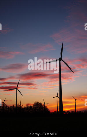 Coucher de soleil sur Bargerveen, Pays-Bas Banque D'Images