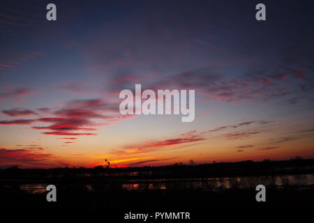 Coucher de soleil sur Bargerveen, Pays-Bas Banque D'Images