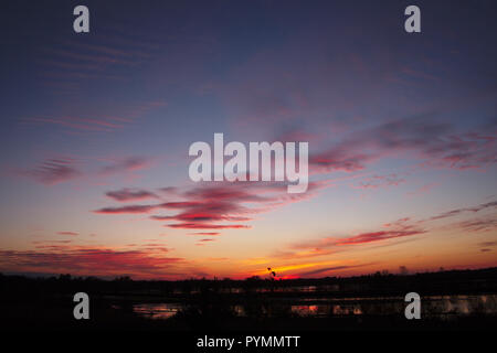 Coucher de soleil sur Bargerveen, Pays-Bas Banque D'Images