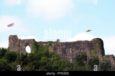 PEMBROKESHIRE ; ST.DAVID'S ; LES MURS DE LA CATHÉDRALE Banque D'Images