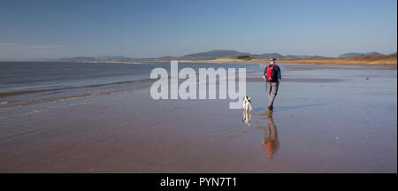 Walker avec promenade de chiens l'estuaire de Solway coast la position le long de la Réserve Naturelle de Mersehead Southerness, Ecosse, Royaume-Uni Banque D'Images