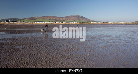 Walker avec promenade de chiens l'estuaire de Solway coast la position le long de la Réserve Naturelle de Mersehead Southerness, Ecosse, Royaume-Uni Banque D'Images