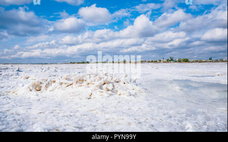 Les pierres sont recouverts d'une croûte de sel sur les rives du salar Baskunchak umbleweed l'extraction de sel. dans des cristaux de sel ressemblent à des mensonges de corail Banque D'Images