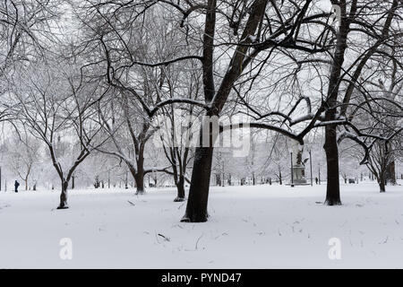 Les arbres couverts de neige dans le Boston Common Banque D'Images