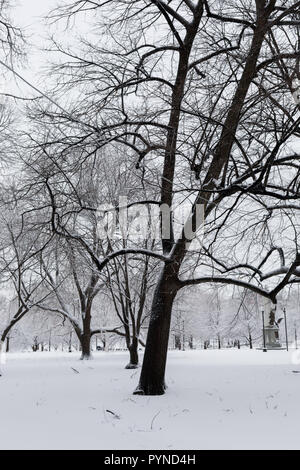 Les arbres couverts de neige dans le Boston Common Banque D'Images