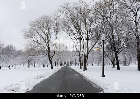 Trottoirs enneigés dans Boston Common, neige fraîche à Boston Banque D'Images