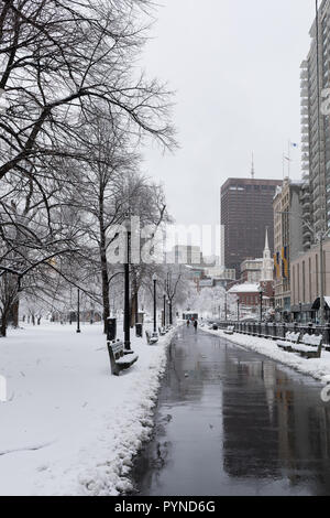 Boston common enneigés, la neige dans le parc Banque D'Images