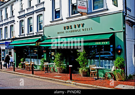 Le lierre, High Street, Tunbridge Wells, Kent, Angleterre Banque D'Images