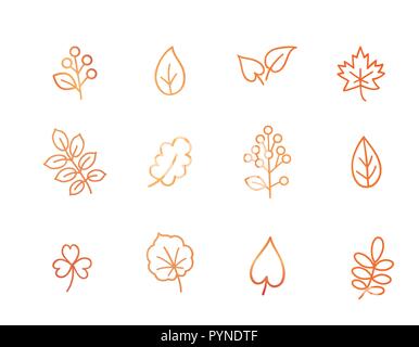 L'icône de l'automne. Automne feuilles et baies. Symbole de la nature art collection ligne isolé sur fond blanc. Illustration de Vecteur