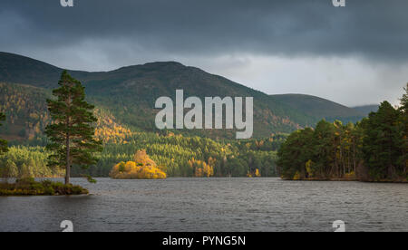 Loch an Eilein, Rothiemurchus dans le parc national de Cairngorm dans les Highlands écossais. Prise à l'automne que le soleil est sur le point d'établir. Banque D'Images