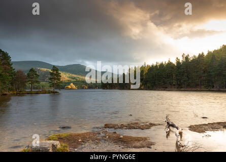 Loch an Eilein, Rothiemurchus dans le parc national de Cairngorm dans les Highlands écossais. Prise à l'automne que le soleil est sur le point d'établir. Banque D'Images