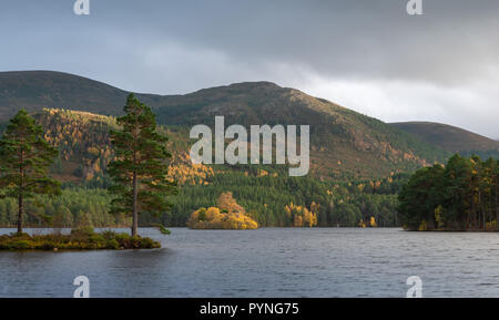 Loch an Eilein, Rothiemurchus dans le parc national de Cairngorm dans les Highlands écossais. Prise à l'automne que le soleil est sur le point d'établir. Banque D'Images