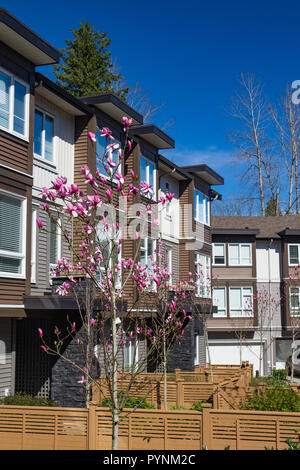 Tout nouvel immeuble sur journée ensoleillée au printemps avec les arbres en fleurs en Colombie-Britannique, Canada. Banque D'Images