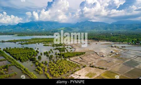 Aperçu de l'biotope des mangroves autour de Pemuteran côte dans le nord-ouest de l'île de Bali, Indonésie Banque D'Images