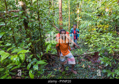 TUNGU VILLAGE, îles Aru, Indonésie, 05 décembre 2017 : un Hunter est la marche dans la forêt tropicale sauvage près du village de Tungu îles Aru, Indonésie Banque D'Images