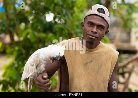 TUNGU VILLAGE, îles Aru, INDONÉSIE, Décembre 04, 2017 : fier entraîneur des animaux est posant avec son cacatoès blanc debout sur son bras dans l'Tungu vil Banque D'Images