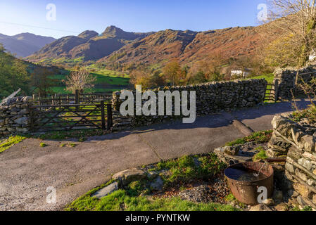 Le Langdale Pikes dans le Langsale, le pays des lacs. Nord-ouest de l'Angleterre. Couleurs d'automne Banque D'Images