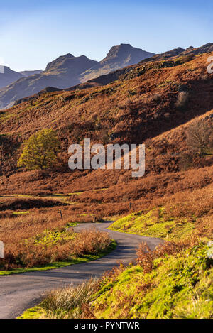Le Langdale Pikes dans le Langsale, le pays des lacs. Nord-ouest de l'Angleterre. Couleurs d'automne Banque D'Images
