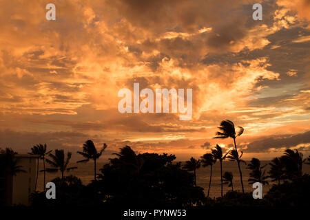 Coucher Soleil nuages vive dans le ciel avec l'approche de l'ouragan tempête sur l'océan et l'Île de Palmiers soufflant en Silhouette Banque D'Images