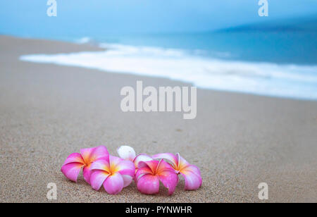 Groupe de fleurs lumineuses sur plage avec vagues écumeuses en arrière-plan Banque D'Images