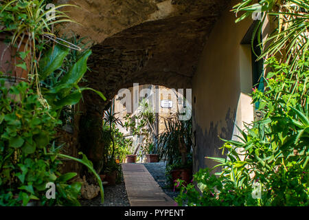 Beau porche avec de nombreuses plantes en pot vert dans l'ancien village médiéval de Cervo en Italie Banque D'Images