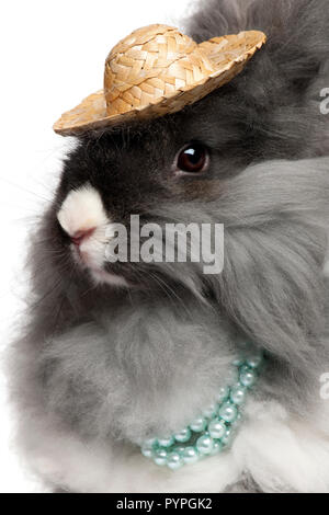 Close-up of English lapin angora portant des perles et chapeau de paille in front of white background Banque D'Images