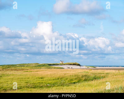 Les marais salants et les dunes de sable la table et l'ammophile en réserve naturelle Boschplaat sur l'île de Terschelling, Pays-Bas Banque D'Images