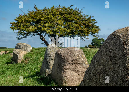 Dolmen le cercle de pierres mégalithiques Nobbin Rügen Banque D'Images