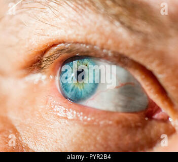 Les hommes, les droits de l', close-up, de l'œil, macro, à la recherche, de la vue, de personnes, eyeball, beauté, iris, regarder, la couleur, le sourcil, personne, l'un, les hommes, bleu, à l'AEC, l'image, Banque D'Images