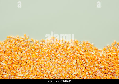 Arrière-plan de grains de maïs récoltés avec copie espace, concept d'abondance et de grand rendement après récolte réussie Banque D'Images