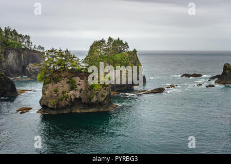 Les piles de la mer du cap Flattery, paysage de la péninsule Olympique, le détroit de Juan de Fuca, l'état de Washington, USA. Banque D'Images