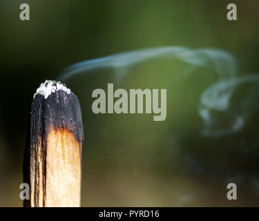 Cérémonie de purification par l'utilisation de bois saint péruvien palo santo bâton d'encens à préserver la forêt. Banque D'Images