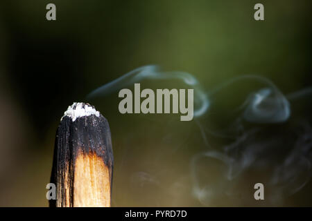 Cérémonie de purification par l'utilisation de bois saint péruvien palo santo bâton d'encens à préserver la forêt. Banque D'Images