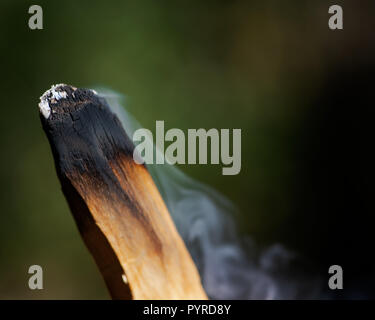 Cérémonie de purification par l'utilisation de bois saint péruvien palo santo bâton d'encens à préserver la forêt. Banque D'Images